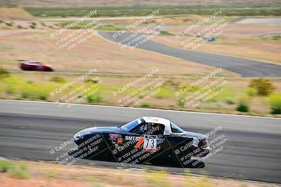 media/May-05-2024-Lucky Dog Racing (Sun) [[8a365fce5b]]/1030am-Turn 3/